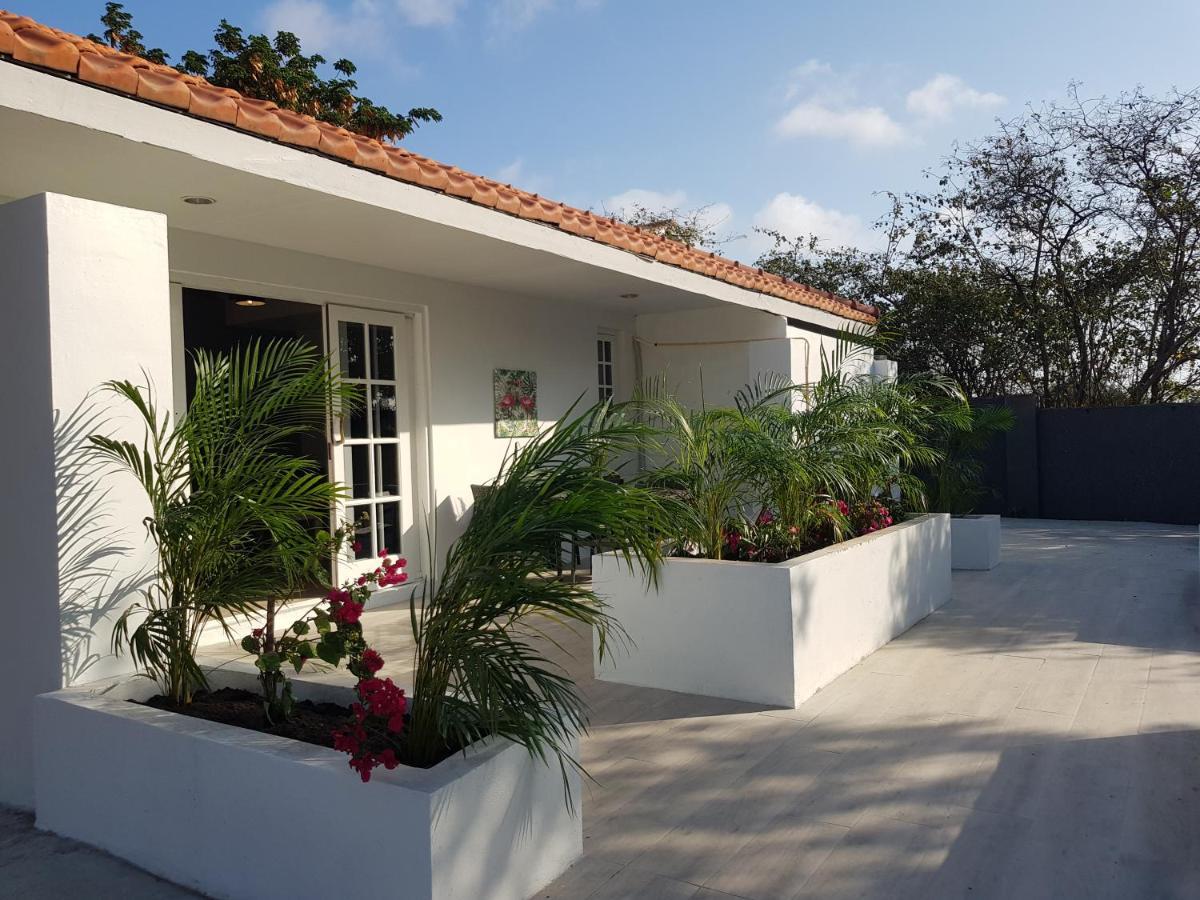4-Pers Accomodatie Julianadorp, Curacao วิลเลมสตัด ภายนอก รูปภาพ