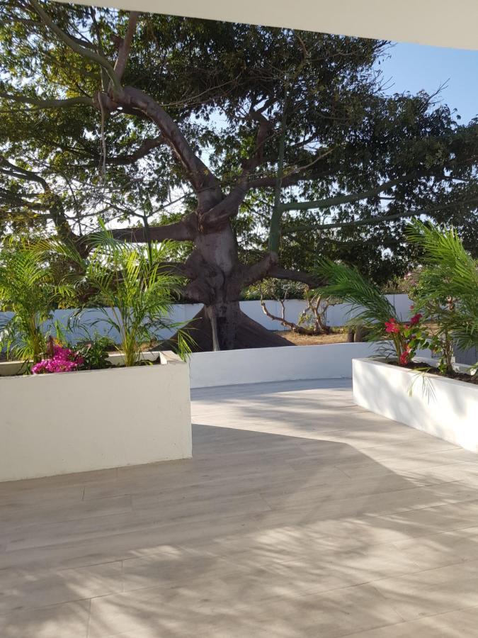 4-Pers Accomodatie Julianadorp, Curacao วิลเลมสตัด ภายนอก รูปภาพ